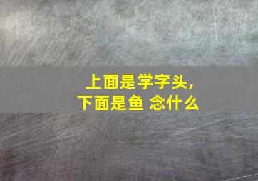 上面是学字头,下面是鱼 念什么